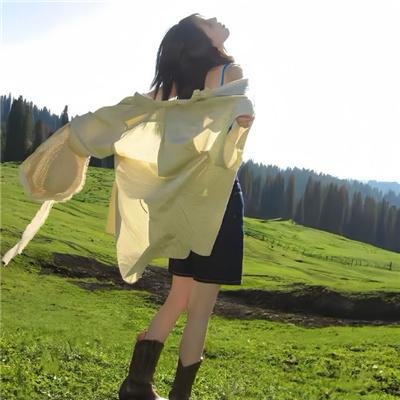 第13天 海报